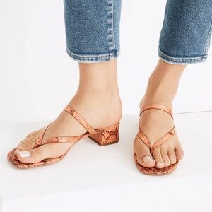 Madewell The Amber Sandal In Snake Embossed Leather 8